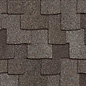 Sycamore